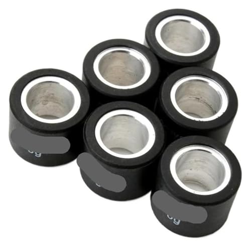 Galets variateur 19 x 15.5 haute durabilité pour Typhoon et Runner 50