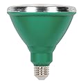 Westinghouse 3314900 100-Watt Equivalent PAR38 Flood Green Outdoor Weatherproof LED Light Bulb with Medium Base, Single Green 33149