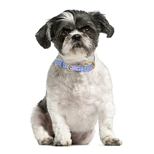 Etiqueta Com Nome De Identificação Personalizada Coleira De Gato Anti Perda Coleira De Gato De Couro