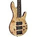 Michael Kelly Pinnacle 5 5-String Bass Guitar