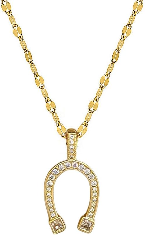 Dtja Horseshoe Pendant Necklace for Women Surgical Stainless Steel Delicate Crystal U Shaped Charms Link Chain Adjustable Fashion Punk Birthday Holiday Festival Jewelry 18 inch