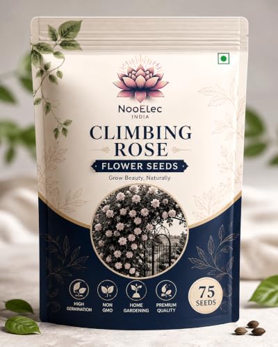 Image of Climbing Rose Flower Seeds,75 Seeds Pack, Year-Round Blooms (BLUE)