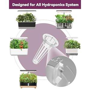 Saladseedpodkitsforaerogardenidoohydroponicsgrowingsystemherbgarden400seedsincludingamericanfastlettucebuttercrunchlettuceredcherrytomato8pods Urban Country Home Decor Salad seed pod kits for aerogarden idoo hydroponics growing system herb garden 400 seeds including american fast lettuce buttercrunch lettuce red cherry tomato8 pods urban country home decor