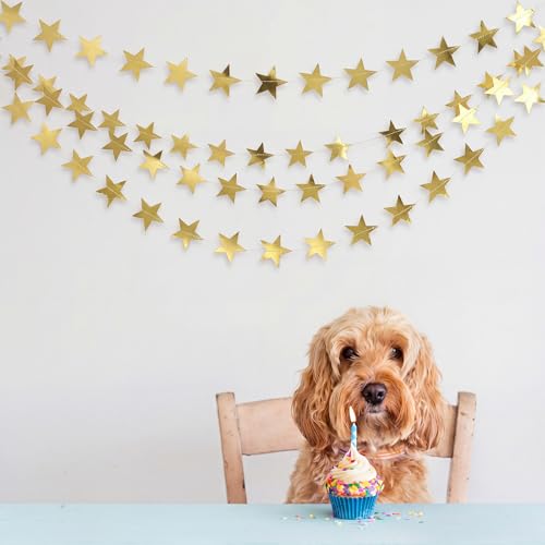 Image of Patelai Glitter Star Garland Banner 2026 Party Decoration Double Side Star Hanging String Streamer Paper Twinkle for Graduation Wedding Birthday (Gold,210 Feet)
