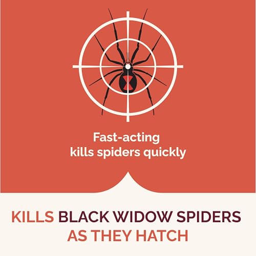 Image of Hot Shot Spider & Scorpion Killer (Aerosol), Kills Large Spiders and Scorpions in Seconds, Including Black Widow, Brown Recluse and Wolf Spiders, 16 Ounces