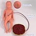 ZYUIOTHJK Child Birth Education Tools, Childbirth Simulator, Midwifery Training Model, Life Size Pelvic Anatomical Model with 2 Fetus - 2 Placenta - 2 Umbilical Cord Carrying Bag