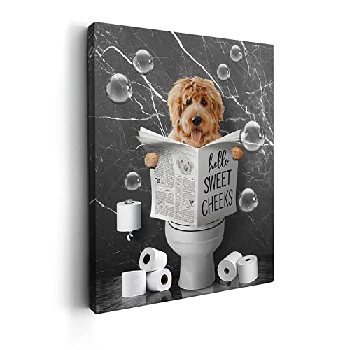 Kasluolo Teddy Dog Sitting On Toilet Wall Art Bathroom Dogs Wall Decor Black And White Animal Bathroom Funny Pictures Farmhouse Dog Wall Décor For Toilet Bathroom Framed Artwork 12X16 Inch #TOP2