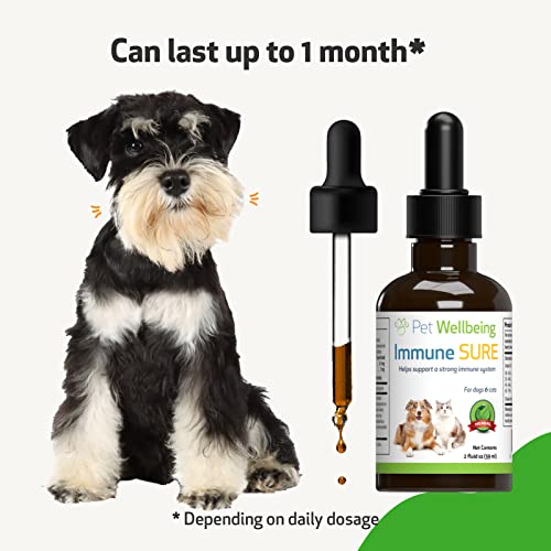 Pet Wellbeing Immune Sure For Dogs - Vet-Formulated - Immune System Support & Protection - Natural Herbal Supplement 2 Oz (59 Ml) #TOP6
