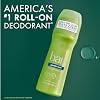 Ban Invisible Roll-on Antiperspirant Deodorant for Women and Men, 24-hour Underarm Odor & Sweat Protection, Powder Fresh, 3.5 Oz, Pack of 4