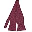 Burgundy Darlene Paisley