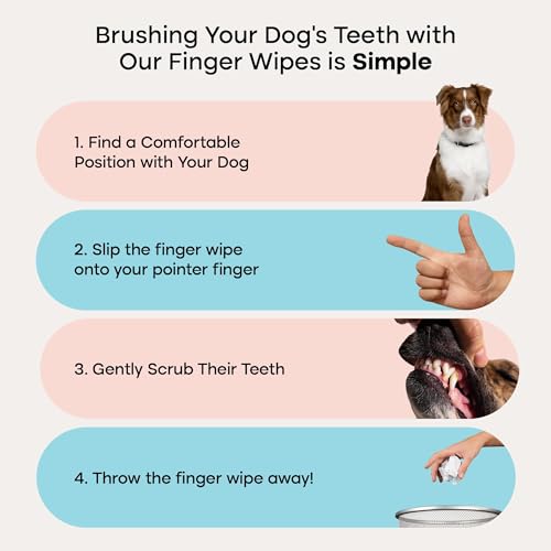Image of Uproot Clean Pet Dental Finger Wipes for Dogs & Cats (50ct.): Easy & Effective Cat and Dog Teeth Cleaning Wipes - Dog Dental Tissues for Plaque, Tartar, & Bad Breath - Safe, Rinse-Free, Disposable