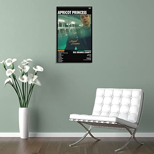 Poster Rex Orange County idée cadeau originale pour fan de pop indie - 5
