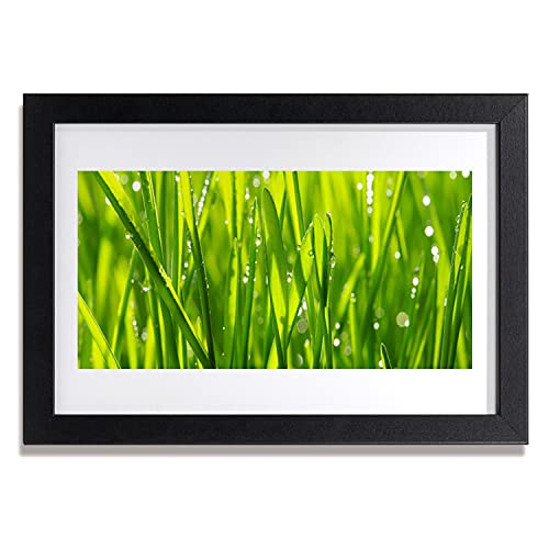 Image murale nature pour habiller un mur vide avec cadre 30x20