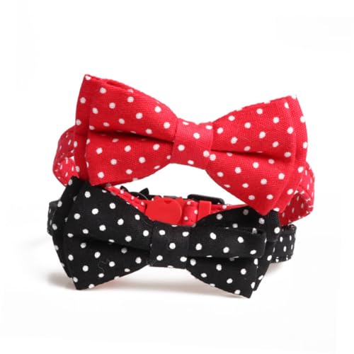 TOGEVAL ybgpg_hbglN xt _炩f Lp ŉKȃybglbN`F[ 