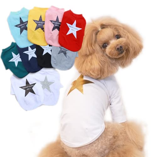 ykamakuradog qhbOzkamakuradog star'siOj  ̕ ybg hbOEFA (10.ubN, L)