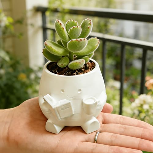 Cute 3D Printed Flower Pot Only (No Plants) | Mini
