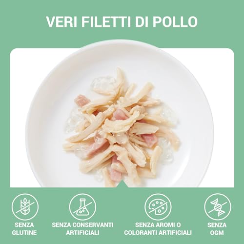 Schesir, Hähnchenfilets mit Schinken in Gelee, ergänzendes Nassfutter für Katzen, Originalrezept, 100% natürlich, 12 Beutel à 70 g