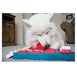 Zoom IMG-1 outward hound nina ottosson dog Zoom IMG-1 outward hound nina ottosson dog