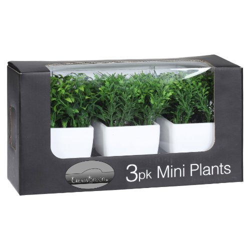 Preisvergleich Produktbild Mini-Box, Gras 3 St, 13 cm, im Kunststofftopf weiß. Kunstgras, Dekogras getopft.