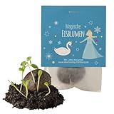 ❤️ Liebevoll von Hand gefertigt – verantwortungsbewusst hergestellt in lokalen Behindertenwerkstätten. Papier – Design – Verpackung: Alles Made in Germany.