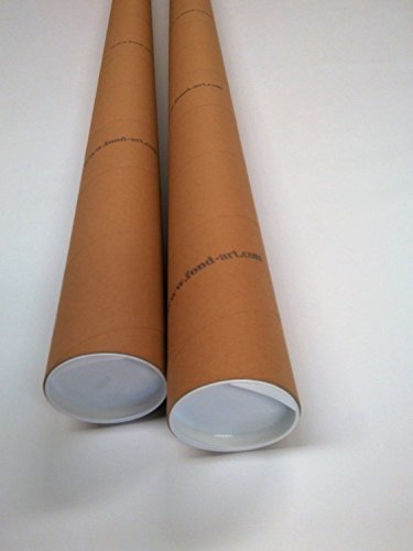 Fond en Vinyle RÉVERSIBLE Double Face Beig ET Blanc 200CMX300CM