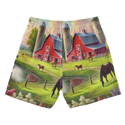 Farm Red Barn Boys Swim Trunks Quick Dry Toddler Swimsuit Boy Swimwear Bathing Suits Board Shorts 3T2