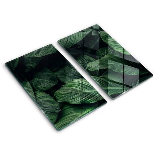 Protection plaque induction contre les rayures avec feuilles sombres