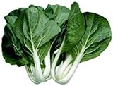 Item Type:Seeds 250+ Pak Choi bianco Stem Seeds:Seeds
