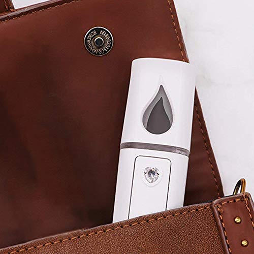 Nano Facial Steamer Mist Spray Eyelash Extensions Cleaning Pores Water Spa Moisturizing Hydrating Face Sprayer Usb Rechargeable Mini Beauty Device - Summer Gives You Cool (White) #TOP7