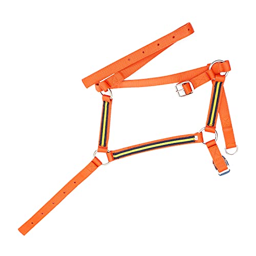 Headstalls Cavalo Cavalo Rédeas Arnês Ajustável Padronizada Cavalo Halter Substituição para Passeios