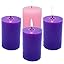 Pink,Purple,Rose