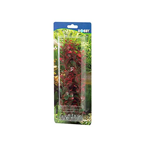 Hobby Ludwigia, 34 cm - Image 3
