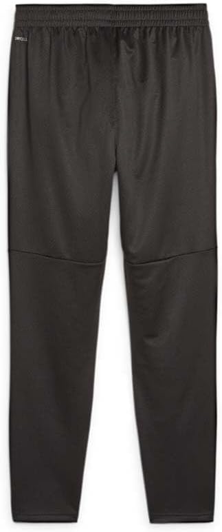 Puma AC Milan Training Pants (as1, Alpha, l, Regular, Regular) Black