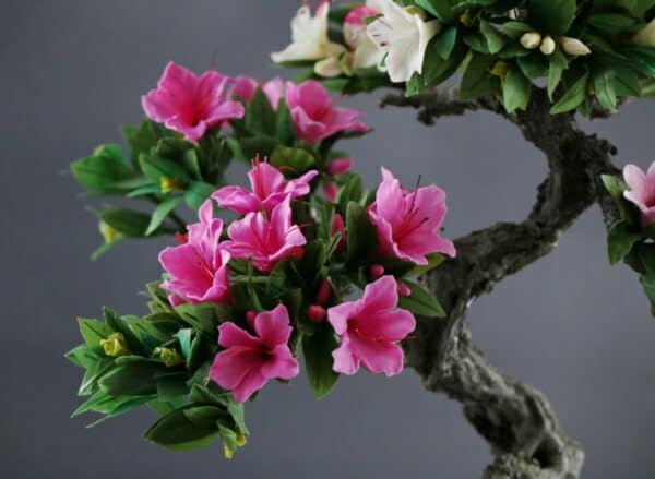 ARS10他】アジア版 Unity & Pride スペシャルセット 【公式通販