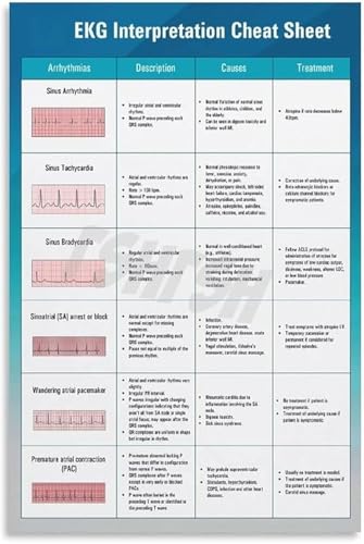 Poster ECG de formation médicale et schéma de placement électrodes encadré