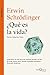 &iquest;Qu&Atilde;&copy; es la vida? (Metatemas) (Spanish Edition)
