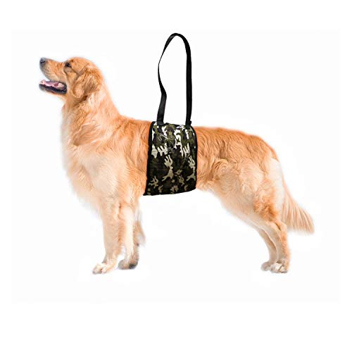 Compare Price hip dysplasia joint harness on