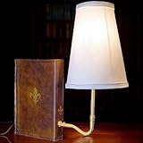 Decorazione affascinante: il design vintage del libro della lampada letteraria strizza l'occhio all'estetica classica, evocando un senso di nostalgia in qualsiasi spazio. La lampada, elegantemente sagomata come un libro rilegato in pelle, aggiunge un tocco di fascino senza tempo fornendo allo stesso tempo un'illuminazione morbida per un ambiente accogliente
