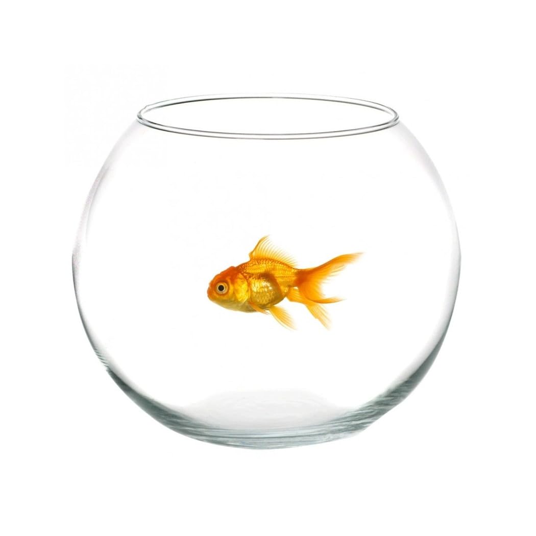 Trade Shop - Ampolla Boccia per Pesci in Vetro 30 Cm Acquario Pesce Rosso Centrotavola