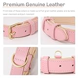 HEELE Hundehalsband Leder Hundehalsband mit gepolstert und echtes Leder, Verstellbar, Halsband für Welpen Kleine Hunde, Rosa, XS