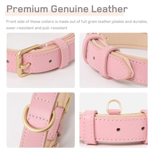 HEELE Hundehalsband Leder Hundehalsband mit gepolstert und echtes Leder, Verstellbar, Halsband für Welpen Kleine Hunde, Rosa, XS