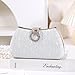 Dreubea Women's Fashion Evening Bag Rhinestone Decrated Clutch Handbag with Chain Silver