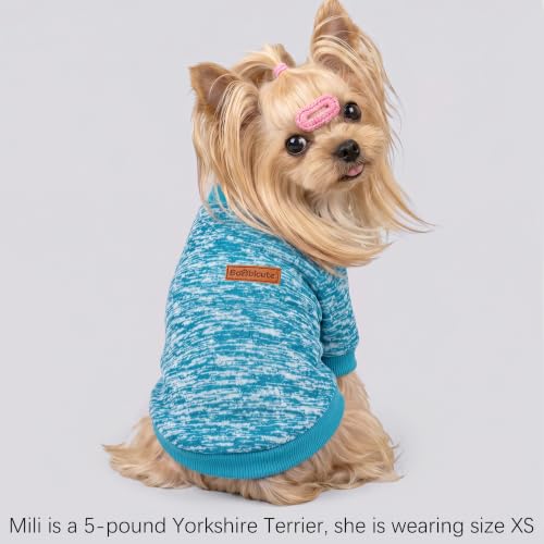 Image of 1 Pack Dog Sweaters for Small Dogs Girl Boy Winter Fleece Clothes Warm Soft Dog Sweatshirt Outfit for Dogs Cats Pet Apparel