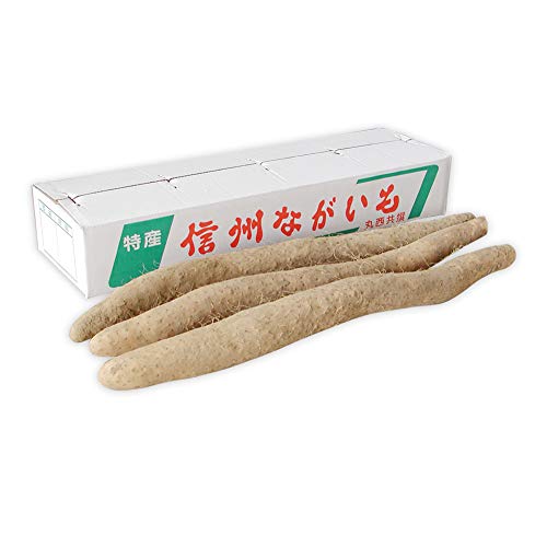 長芋 長いも 長野県産 5kg 国産 産地から採れたて ご自宅用 西村青果