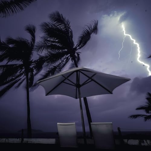 Rain, Heavy Rain, Thunder Roar, Tropical Thunderstorm