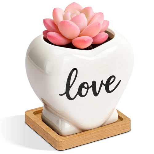 T4U Succulent Pots, 3.9 Inch Succulent Planters...