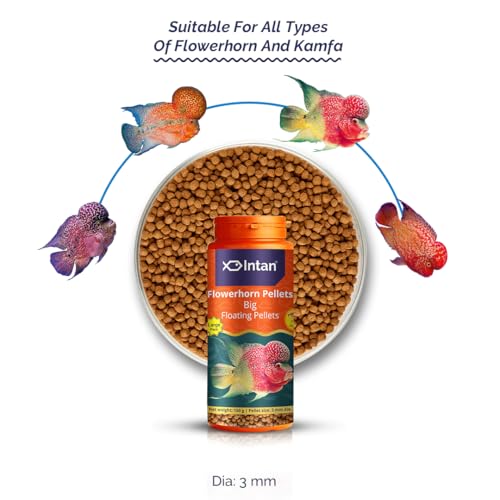 Growel-Intan-Flower-Horn-Pellets-Big-30mm-Floating-150gm-Highly-Nutritious-Ornamental-Fish-Food-for-Flowerhorn-Kamfa