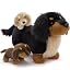Dachshund-black
