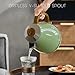 Evoloop 1.7L Electric Kettles, BPA Free Tea Kettle, Hot Water Boiler Heater, Stainless Steel Teapot, Auto Shut-Off & Boil-Dry Protection, 120V/1500W