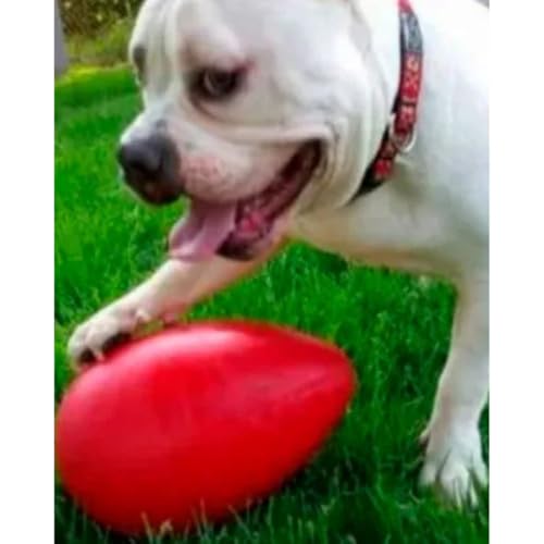 Brinquedo oval para cães (Azul - Funny Egg)